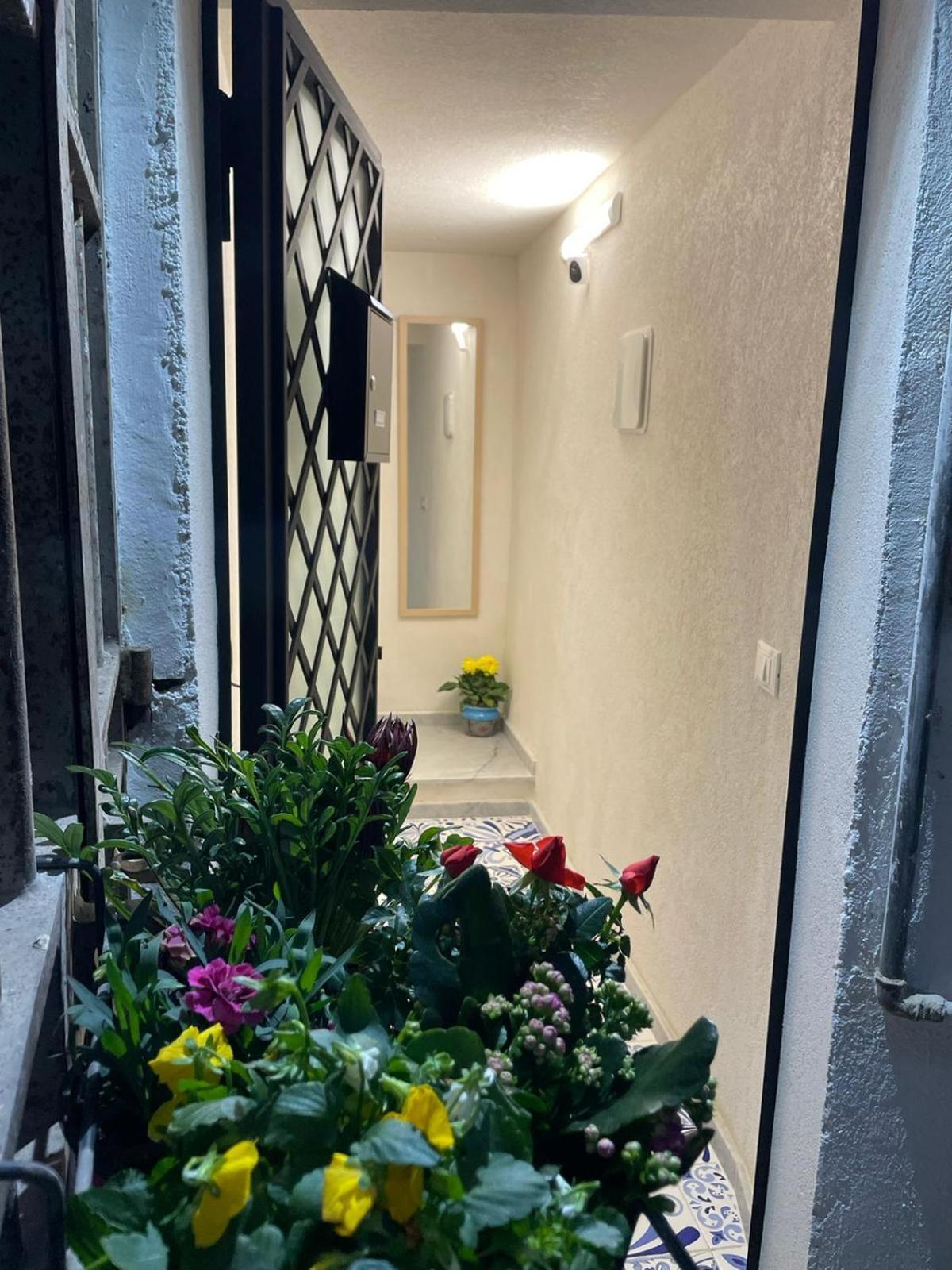 Maro Loft Al Capo Lejlighed Palermo Eksteriør billede